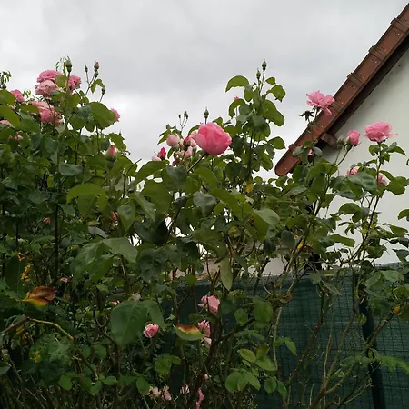 Feriehus Maison Avec Jardin En Centre *