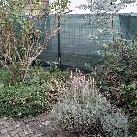 Maison Avec Jardin En Centre Feriehus